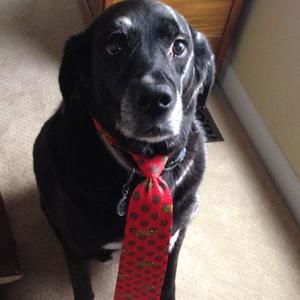 Meet your Posher, Cynthia